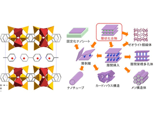 層構造を基盤とする無機有機ハイブリッドナノスペース材料の開発 層構造を基盤とする無機有機ハイブリッドナノスペース材料の開発