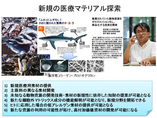 Amazon.co.jp: コラ-ゲンの製造と応用展開 (新材料シリーズ
